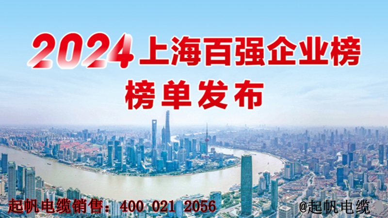 2024年上海百強(qiáng)企業(yè)榜單發(fā)布